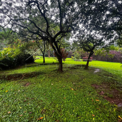 7bad5642-ae11-458e-88ab-18638e123825