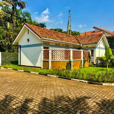 811a3d56-7425-4d01-956f-5fc1900d5413 (1)