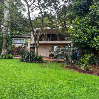 88d364be-44a2-4a2b-8096-bc0aaecb8b7e