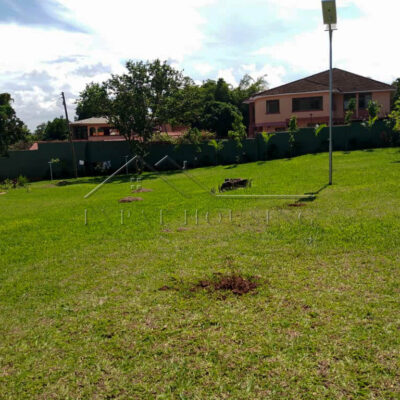 9558f5e5-772c-4465-b469-935d1a15f04d