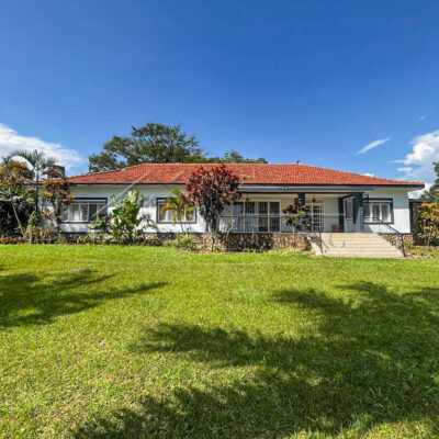 96b54b21-8af5-4a0c-b2d9-c688984edc4e-2