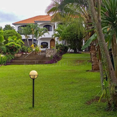 99a7a34c-db39-47ab-abb0-971fbc62bbca