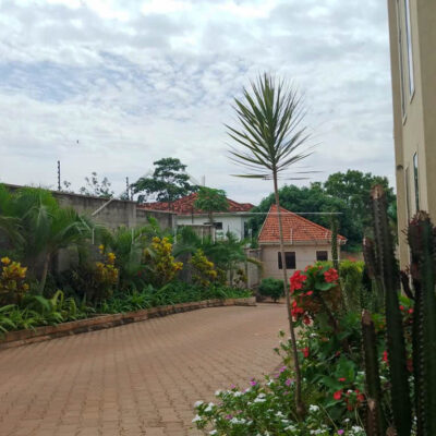 9f008aac-80e9-420a-842a-bb6becb1ae95