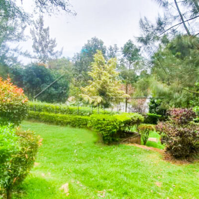 IMG-20241213-WA0031-Edit