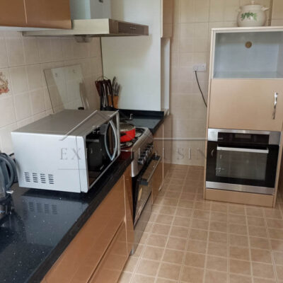 IMG_20250217_093252_401