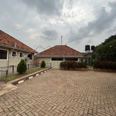 NEW LISTING NAGURU (57)