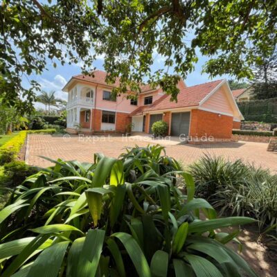 WhatsApp Image 2022-01-21 at 9.21.44 AM