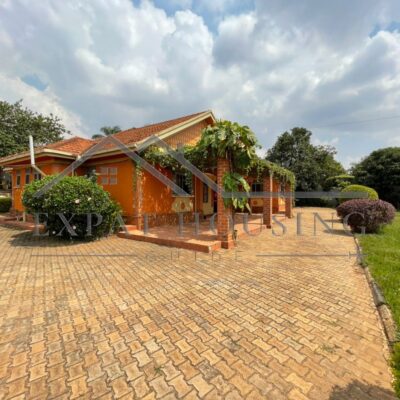 WhatsApp Image 2022-07-28 at 13.45.48