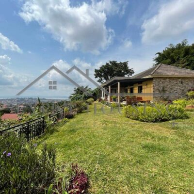 WhatsApp Image 2022-11-18 at 11.44.44