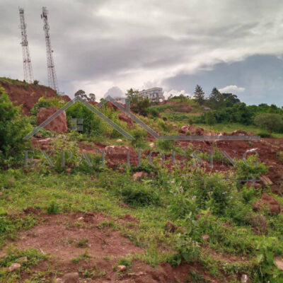 WhatsApp Image 2023-01-09 at 17.04.25