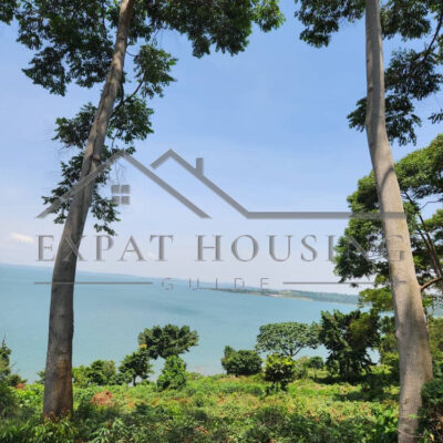 WhatsApp Image 2023-03-09 at 11.44.42