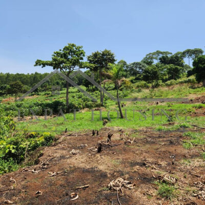 WhatsApp Image 2023-03-09 at 11.45.03 (2)