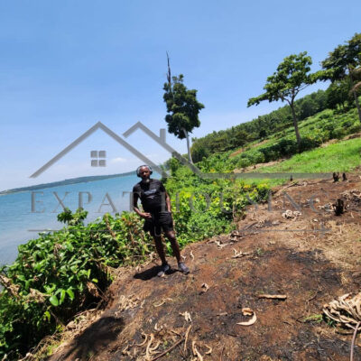 WhatsApp Image 2023-03-09 at 11.45.03