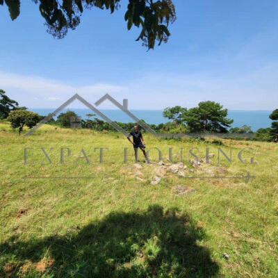 WhatsApp Image 2023-03-09 at 11.45.28 (1)