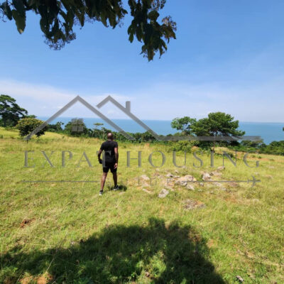 WhatsApp Image 2023-03-09 at 11.45.28 (2)