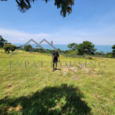 WhatsApp Image 2023-03-09 at 11.45.28