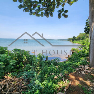 WhatsApp Image 2023-03-09 at 11.45.29