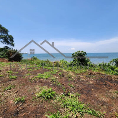 WhatsApp Image 2023-03-09 at 11.45.56