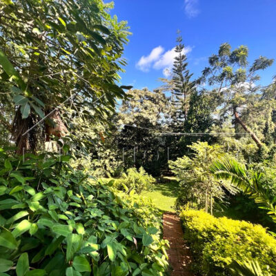 WhatsApp Image 2023-05-13 at 6.48.44 PM (2)