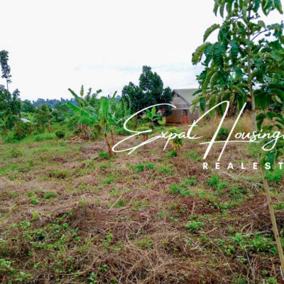 WhatsApp_Image_2022-08-03_at_8.35.47_AM_(4)