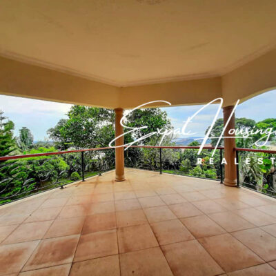 WhatsApp_Image_2022-08-08_at_9.50.18_AM