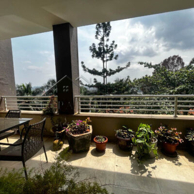 a01c8f50-db5b-4677-afbd-0ab4731f73e6