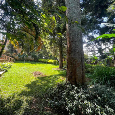 a1a5835a-7e16-450c-ba7c-48264df2c6d7