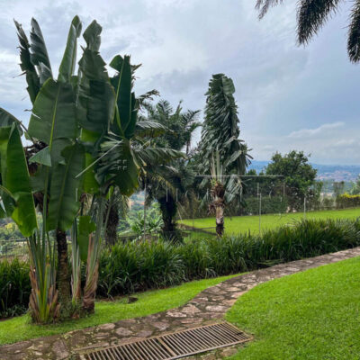 a2886391-fbcb-4c27-af2f-8ab064483fe0