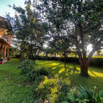 a6c4ad24-a5c4-4d5a-9fa3-e6137d28c5dd