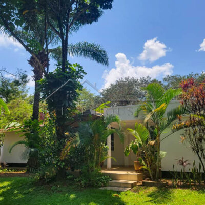 a7eb5b3f-a282-45f7-bcb3-2fa7021cce2c