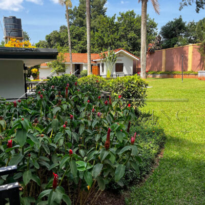 abf3a865-478d-465a-98c1-58d5fa3fc2b1