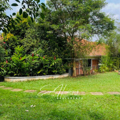 ae1ee5bd-6903-49ad-98d5-32454b6566c5