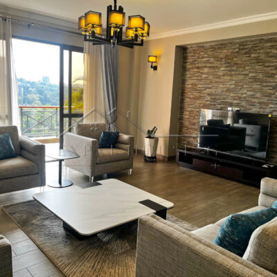 b5693af2-22ad-4184-9c00-58971ed0f090