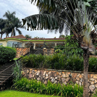 bb368033-f140-4e8c-aabb-b773b804805a