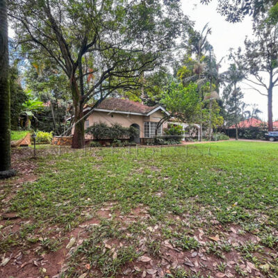 cc2e473d-af01-4920-ae95-5ead3a5c29d4