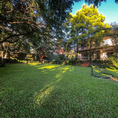 ce155599-4e97-41b0-af45-f07f64b985b7