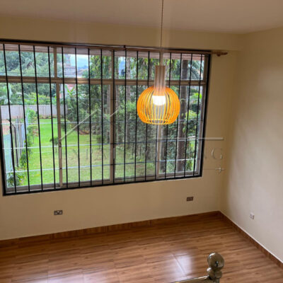 d5c09c5d-0113-4e8c-b881-9613cb73f509