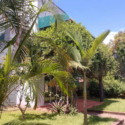 d8eaea3c-6ad6-49e1-a2bf-4570d6cc80ae