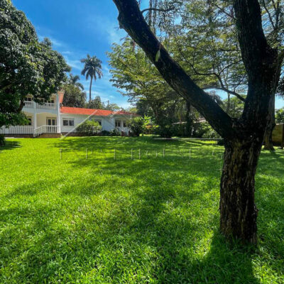 de280d78-a93f-45fd-ac55-61956974774e