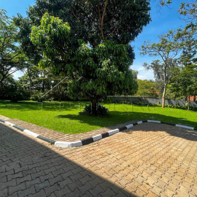 e121a007-9b00-4e8e-a1f8-791285d7cda1