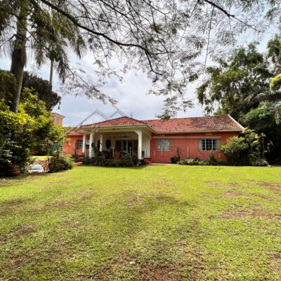 e149df50-229a-4b70-8025-9d327030993c