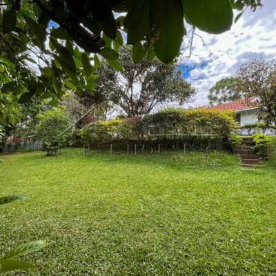 e910f82a-f1ba-4d71-b6fa-7f33e48d88fb