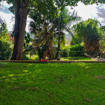 eb2da449-b7b8-443b-bdeb-08bbc2394c48