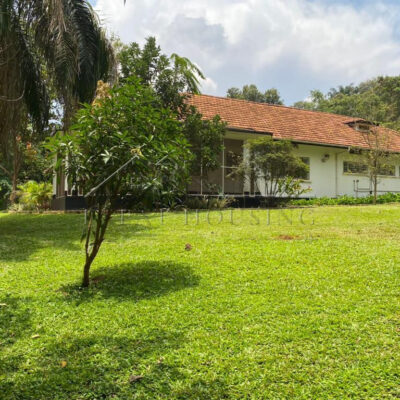 f5829430-ffaa-4d9d-af14-3f28922e3e60