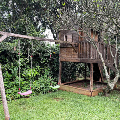 fc039254-7410-42fb-8d72-d99d6390e80c