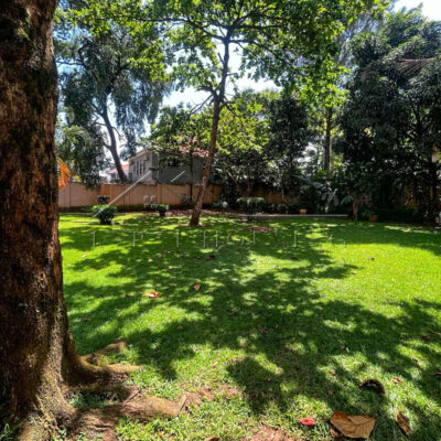 fd34c235-481e-4076-8124-5f02520b33c5