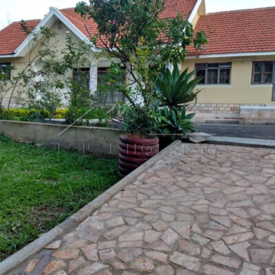 fe80b963-a6c7-4a9d-baf0-25830d34c8cd (2)